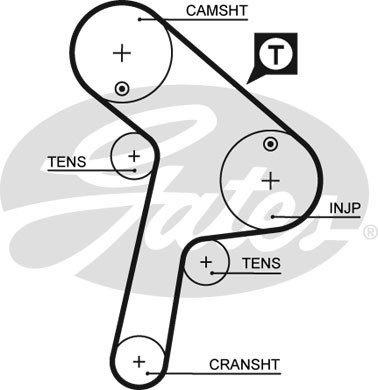 Timing belt for citroën - for,