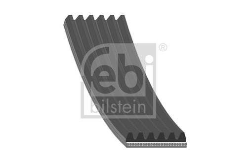 Ribbed belt for - belt,