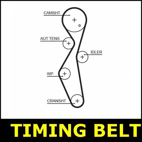 Cam timing belt for - cam,