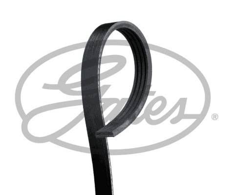 Ribbed belt for - belt, citroËn