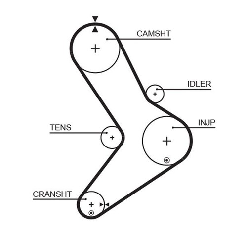 5334xs timing belt - 5334xs,