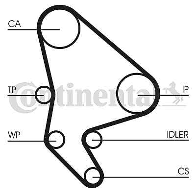 Water pump timing belt - pump, set