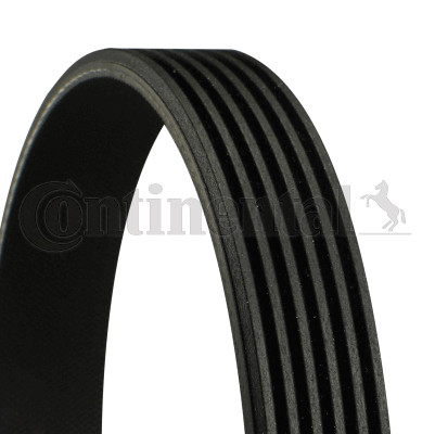 Ribbed belt for citroën - v-ribbed,