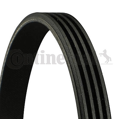 Ribbed belt for citroën - v-ribbed,