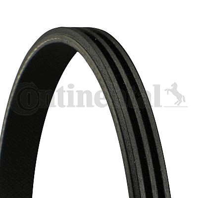 Ribbed belt for citroën - belt,
