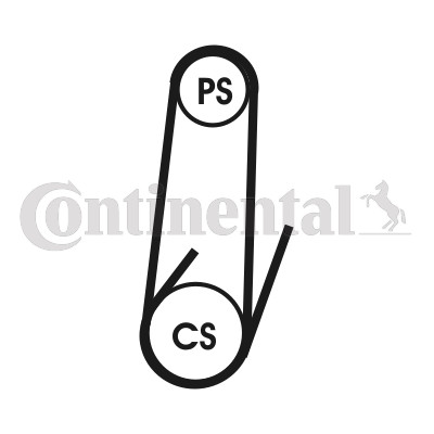 Ribbed belt for citroën - v-ribbed,