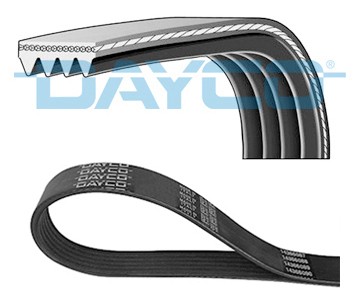 Ribbed belt for citroën - v-ribbed,