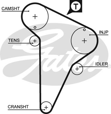 Timing belt for - belt, citroËn