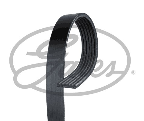 Ribbed belt for - v-ribbed, citroËn