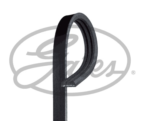 Ribbed belt for - belt,