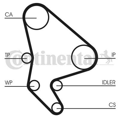 Water pump timing belt - &,