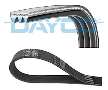 Ribbed belt for citroën - for,