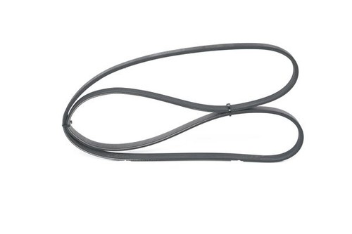Ribbed belt for citroën - belt,